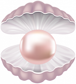 Pearl Shell Transparent PNG Clip Art Image | Gallery Yopriceville ...