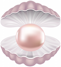 Pearl Shell Transparent PNG Clip Art Image | Gallery Yopriceville ...