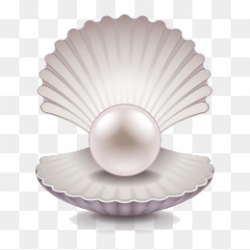 Pearl, Pearl, Shell, Sea Pearl PNG Image #20133 - PNG Images ...