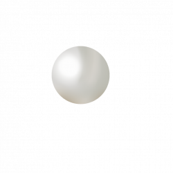 Pearl PNG Transparent Images | PNG All
