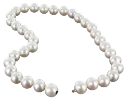 Pearls PNG Picture | Web Icons PNG