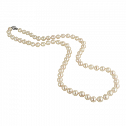 ForgetMeNot: Jewels - pearls