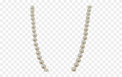 Jewelry Clipart Pearl - Png Pearls Transparent Png (#3256281 ...