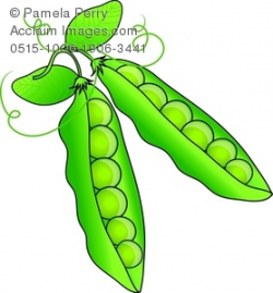 Clip Art Illustration of Peas in Their Pods