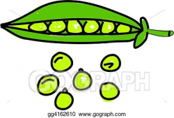 Drawing - Peas. Clipart Drawing gg4162610 - GoGraph