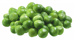 Pea PNG Picture | Gallery Yopriceville - High-Quality Images and ...