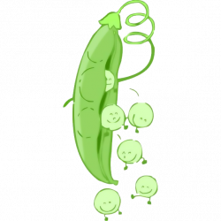 Pea Cartoon Clip art - Lovely baby peas! 604*604 transprent Png Free ...