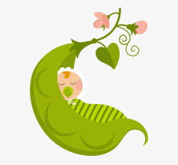Baby In A Pea Pod - Baby In A Pod #168447 - Free Cliparts on ...