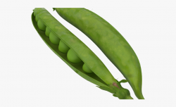 Pea Clipart Runner Bean - Green Beans Transparent Background ...