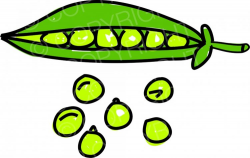 Green garden Peas Vegetable Food Clipart – Prawny Clipart ...