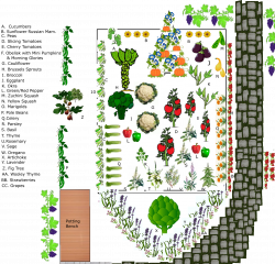 Diagram for My 2016 Spring & Summer Garden – Cottage Garden Living