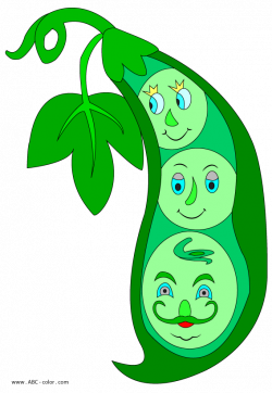 green peas picture