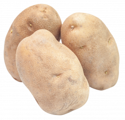 Potato PNG Image - PurePNG | Free transparent CC0 PNG Image Library