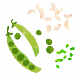 Soupologie Pea Edamame Cashew | Soupologie