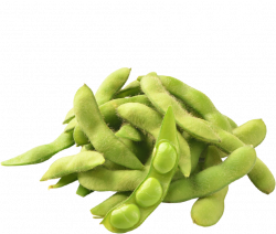 Edamame PNG Transparent Edamame.PNG Images. | PlusPNG