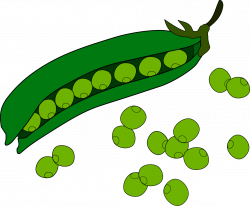 19 Peas clipart HUGE FREEBIE! Download for PowerPoint presentations ...