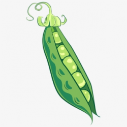 Peas, Pea Pod, Food, Vegetable, Healthy - Free Pea Clipart ...
