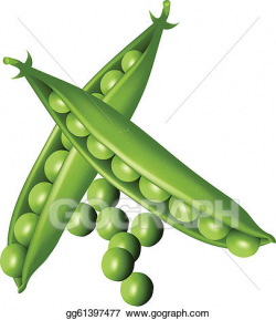 Vector Art - Green pea. EPS clipart gg61397477 - GoGraph