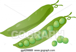 Stock Illustration - Peas. Clipart Drawing gg4299889 - GoGraph