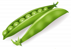 Pea Icon PNG | Web Icons PNG