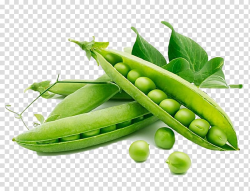 Green peas , Snow pea Organic food Vegetable Legume ...