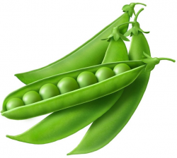 Peas Clipart | Free download best Peas Clipart on ClipArtMag.com