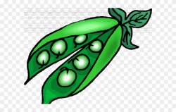 Pea Clipart Pea Plant - Clip Art Of Peas - Png Download ...