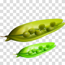 Pea PNG transparent background PNG cliparts free download ...