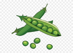 Peas In A Pod Clipart (#3074737) - PinClipart