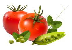 Graphic Design | Fresh vegetables, Clip art and Craft images