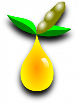 Free photo Soya Bean Agriculture Soy Soybean Allergens Icon - Max Pixel
