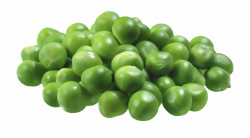 Pea Png - Peas Clipart, Transparent Png Download For Free ...