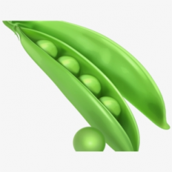Peas Clipart Transparent Background - Free Vector Vegetables ...