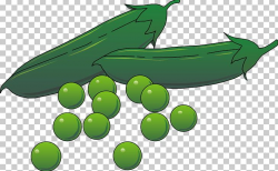 Pea Pod Vegetable PNG, Clipart, Animation, Clip Art ...