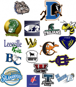 EmergeOrtho - Sports Medicine Clinics | Cortisone Injections