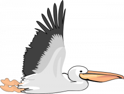 Pelican Clip Art at Clker.com - vector clip art online, royalty free ...