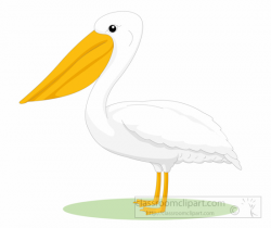 Animal Clipart - Bird Clipart - pelican-bird-side-view-clipart-6125 ...