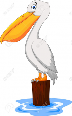 Pelican Cliparts, Stock Vector And Royalty Free Pelican ...