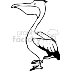 Small pelican in white and black clipart. Royalty-free clipart # 130562