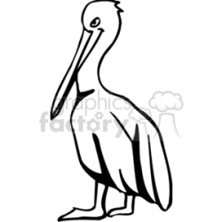 Black and white side profile of a pelican clipart. Royalty-free clipart #  130558