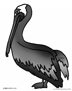 Pelican Clipart - Page 2 of 3 - ClipartBlack.com