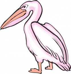 Pink Pelican Clip Art at Clker.com - vector clip art online, royalty ...