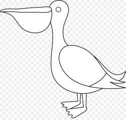 Bird Line Drawing png download - 6917*6507 - Free ...