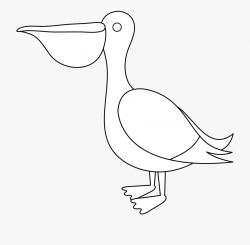 Pelican Clipart Black And White - Water Bird #1380227 - Free ...