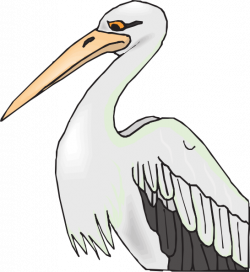 Pelican With Sharp Beak Clip Art at Clker.com - vector clip art ...