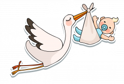 White stork Infant Baby shower - Vector baby is coming 2211*1500 ...