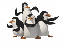 Penguin Group transparent PNG - StickPNG