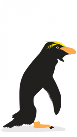 Macaroni Penguin clipart - 4 Macaroni Penguin clip art