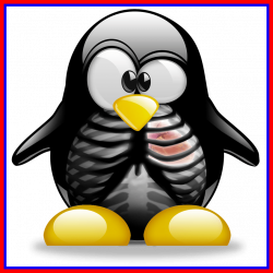 Stunning Tux Ray Of Penguin Family Clipart Trends And For ...