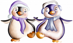 Enchanted Winter Night | Penguins and Album